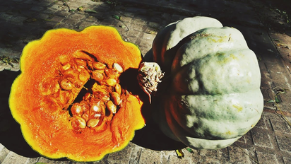 Los increíbles beneficios del zapallo para pasar este frío otoñal