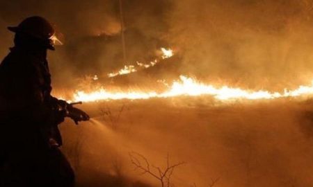 Los incendios en Córdoba están arrasando con la biodiversidad. Aseguran que la recuperación de los daños a la flora y la fauna dependerá de las condiciones climáticas y de las acciones del Estado a corto y mediano plazo. Los incendios en Córdoba están arrasando con la biodiversidad. Aseguran que la recuperación de los daños a la flora y la fauna dependerá de las condiciones climáticas y de las acciones del Estado a corto y mediano plazo.