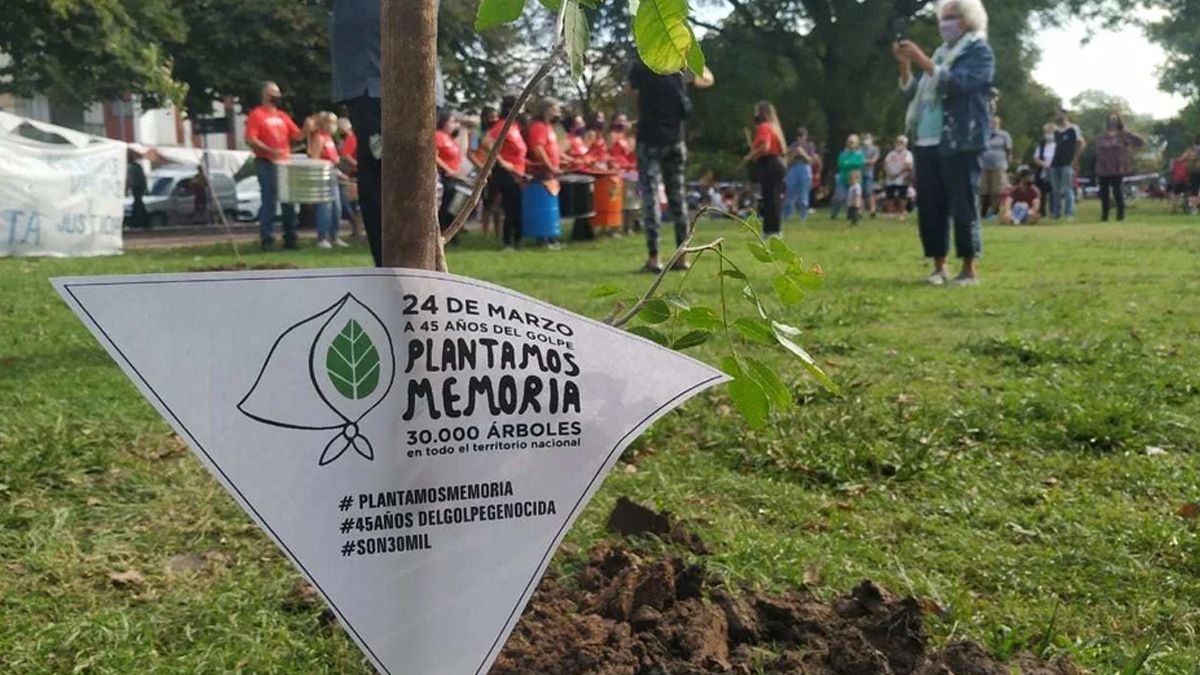 Este Día Nacional de la Memoria por la Verdad y la Justicia se sembrarán 30.000 árboles por los 30 mil compañeros detenidos.