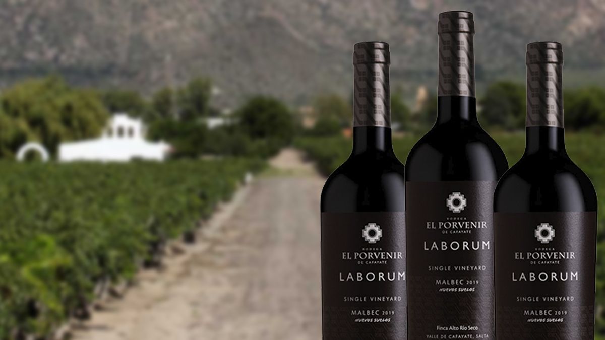Desde Cafayate llega Laborum Malbec Nuevos Suelos