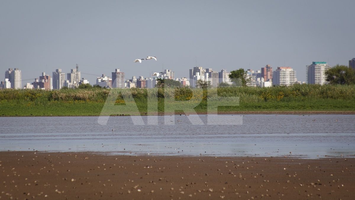 Video: la belleza de los humedales de una ciudad rodeada de agua