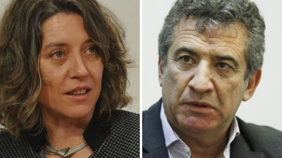 Cecilia Goyeneche, la fiscal de Entre Ríos destituida tras investigar a ...