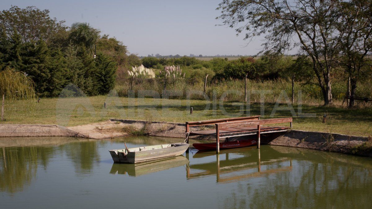 Durante la tarde, las garzas y los biguás vienen a la laguna y también hay bandadas de cardenales, entre muchas aves.