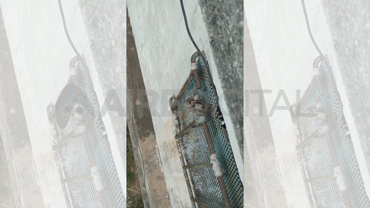 Los internos habían limado completamente los barrotes y despegaron la malla sima para intentar escapar por la ventana de una celda del pabellón N° 4 de la cárcel de Las Flores.