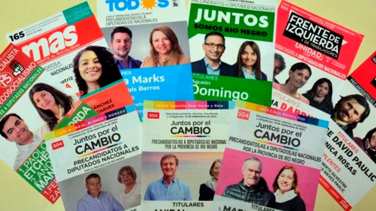 Cuatro alianzas y dos partidos políticos competirán este domingo en Río Negro por dos bancas de diputados en el Congreso de la Nación.