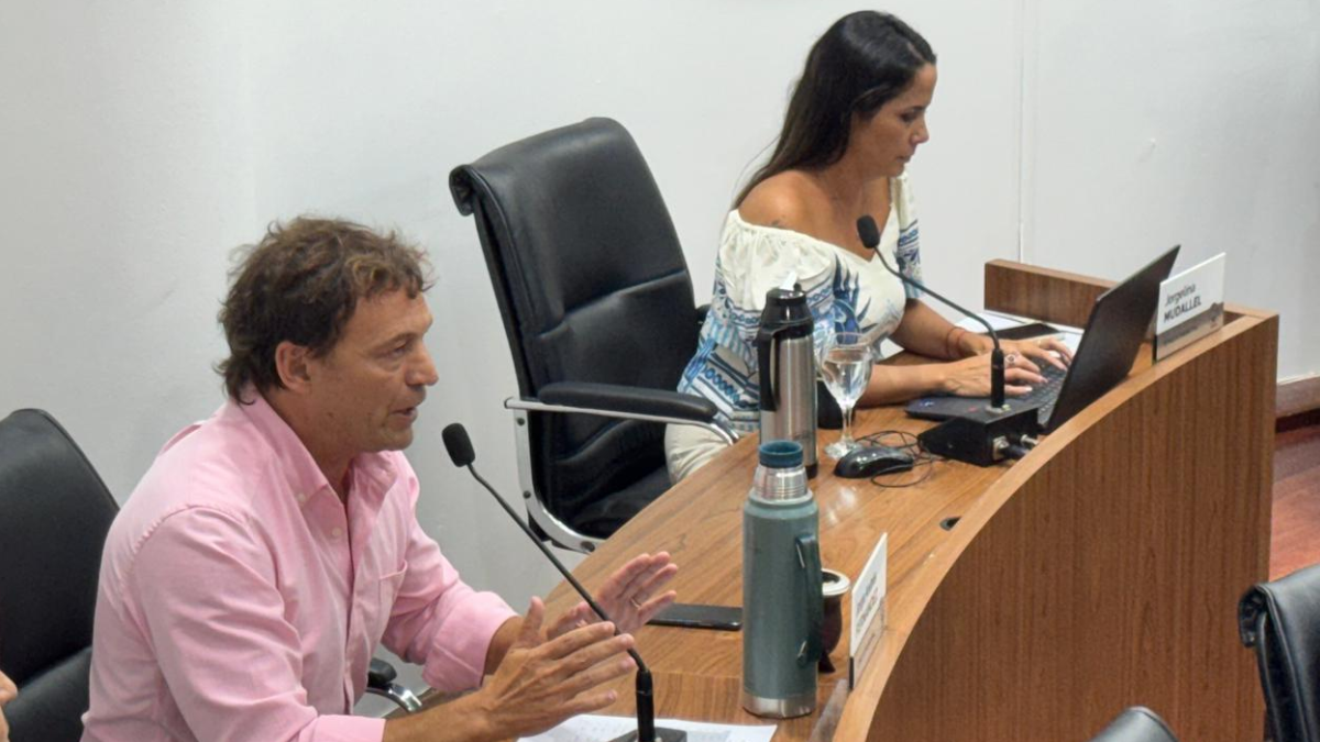 Fern&aacute;ndez se&ntilde;al&oacute; que &ldquo;durante todo el proceso advertimos que se estaba avanzando en un esquema con escasa transparencia".