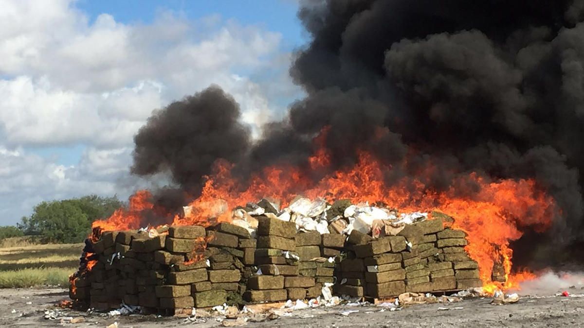 “¿Se puede probar?”: El video viral de un cómico que asistió a la “quema de droga”