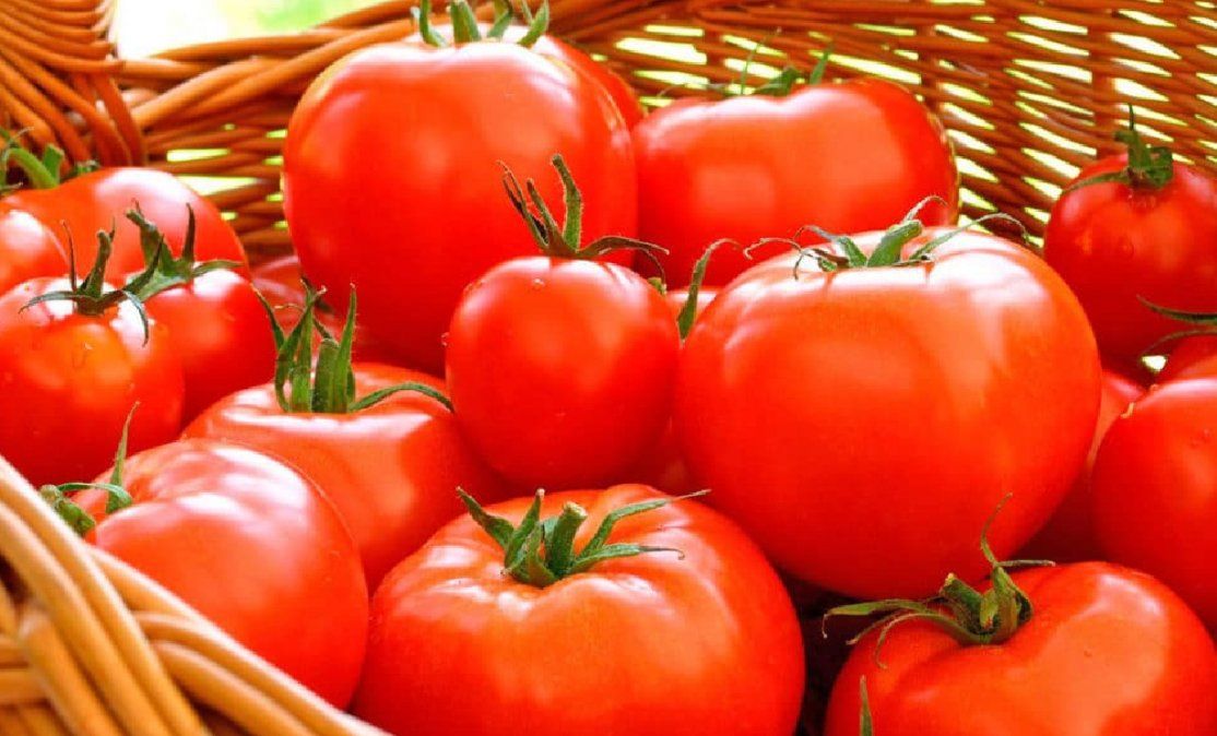 Tomates
