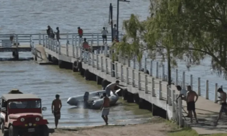 Un nene de 7 años que manejaba una moto de agua chocó contra su padre y se encuentra en terapia intensiva Un nene de 7 años que manejaba una moto de agua chocó contra su padre y se encuentra en terapia intensiva