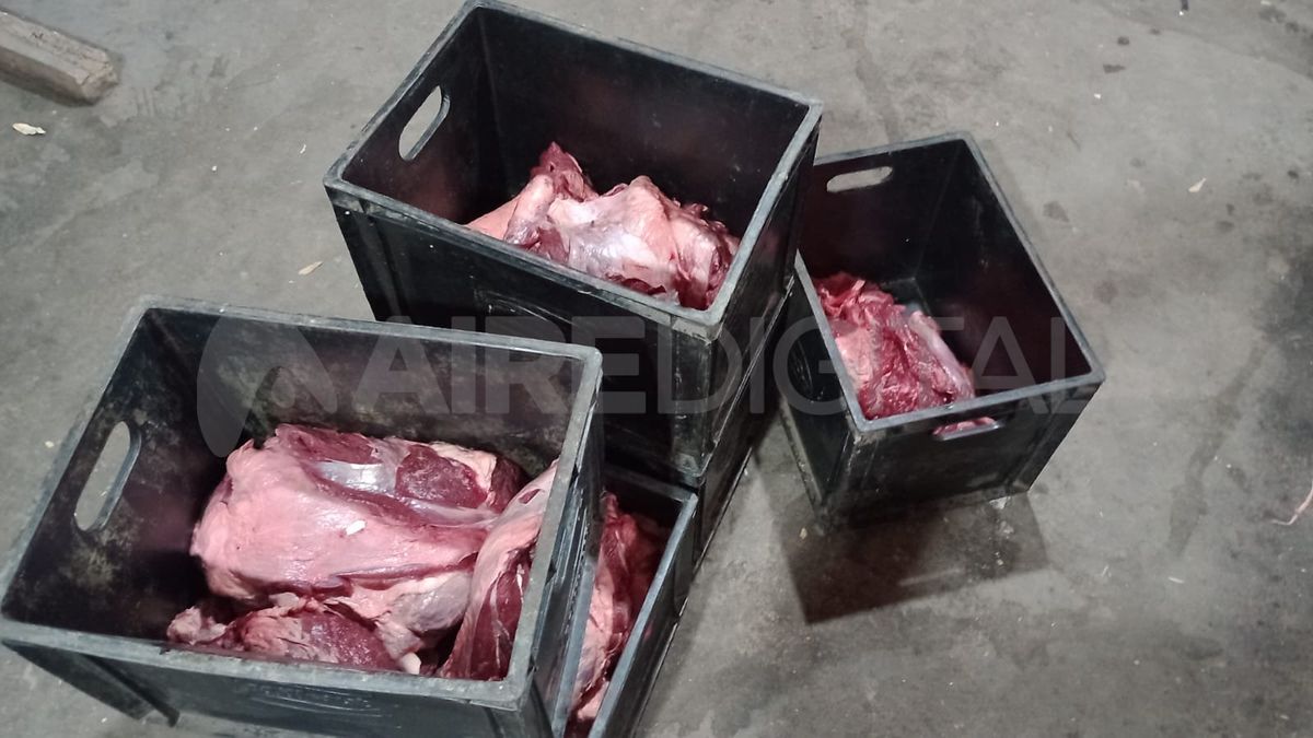La carne secuestrada no contaba con la cadena de frío y fue llevada al relleno sanitario de la ciudad de Santa Fe.