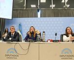 La discusión en Diputados se produjo en paralelo al complejo escenario que atraviesa el proyecto en el Senado. La discusión en Diputados se produjo en paralelo al complejo escenario que atraviesa el proyecto en el Senado.