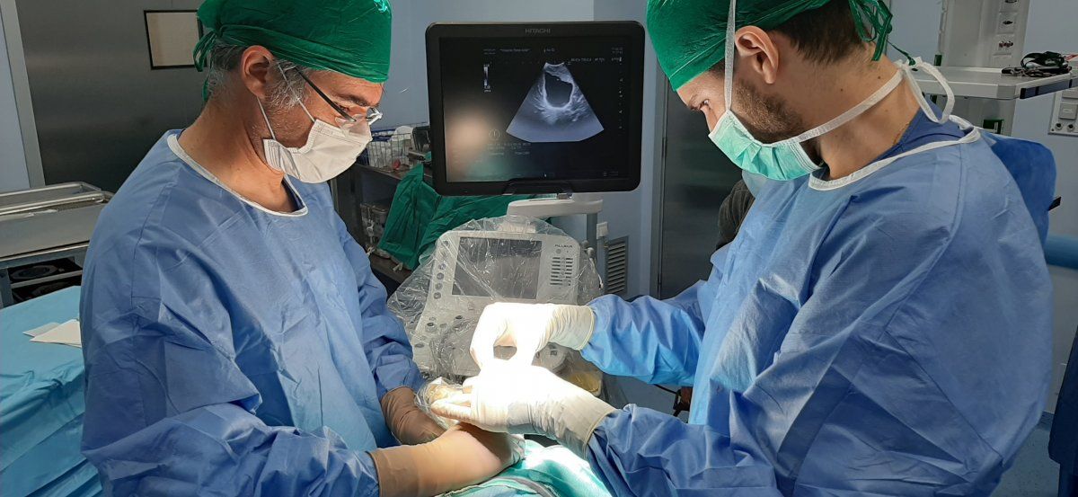 Un estudio sugiere esperar 7 semanas para operarse luego de diagnóstico positivo de covid-19.