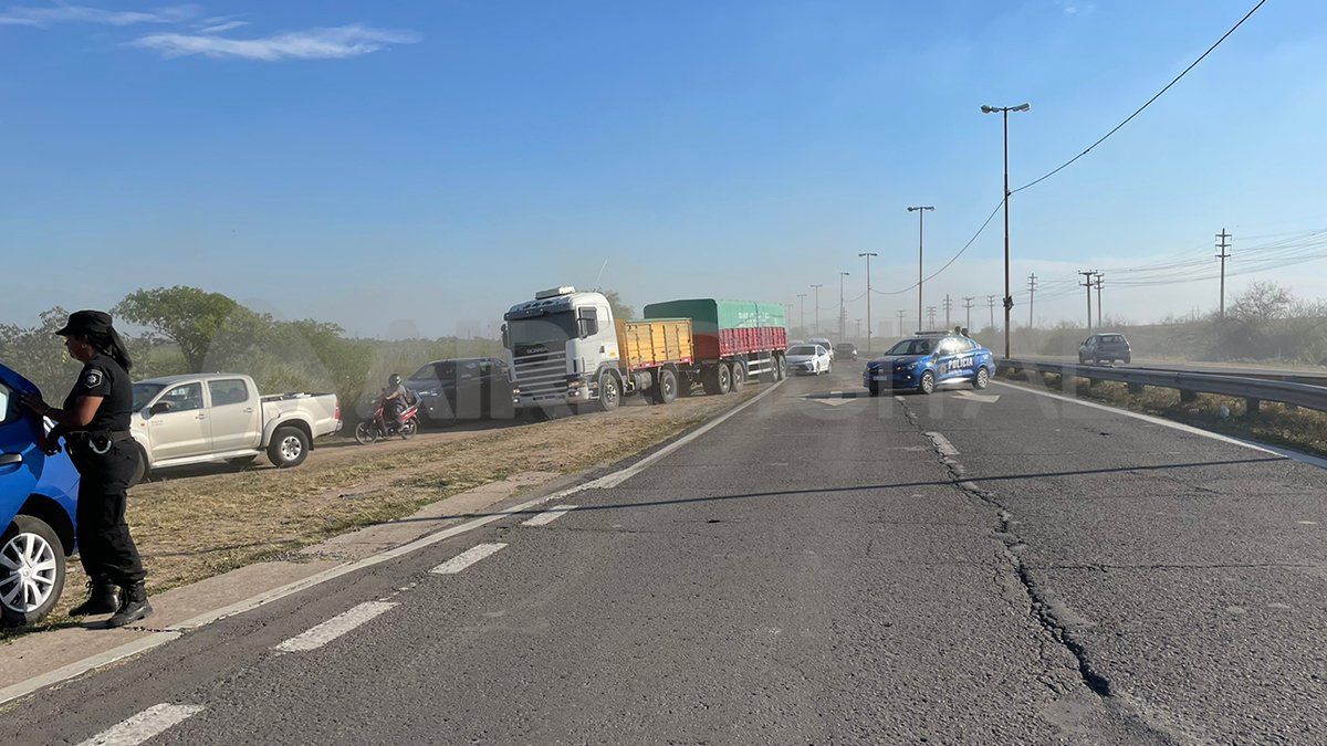 &nbsp;Los animales se están muriendo