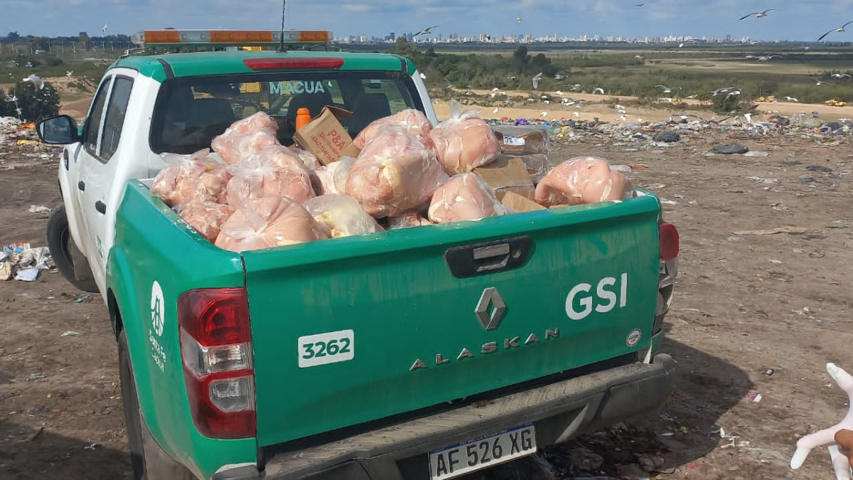 Barrio Schneider: clausuraron un frigorífico clandestino y secuestraron 1680 kilos de carne