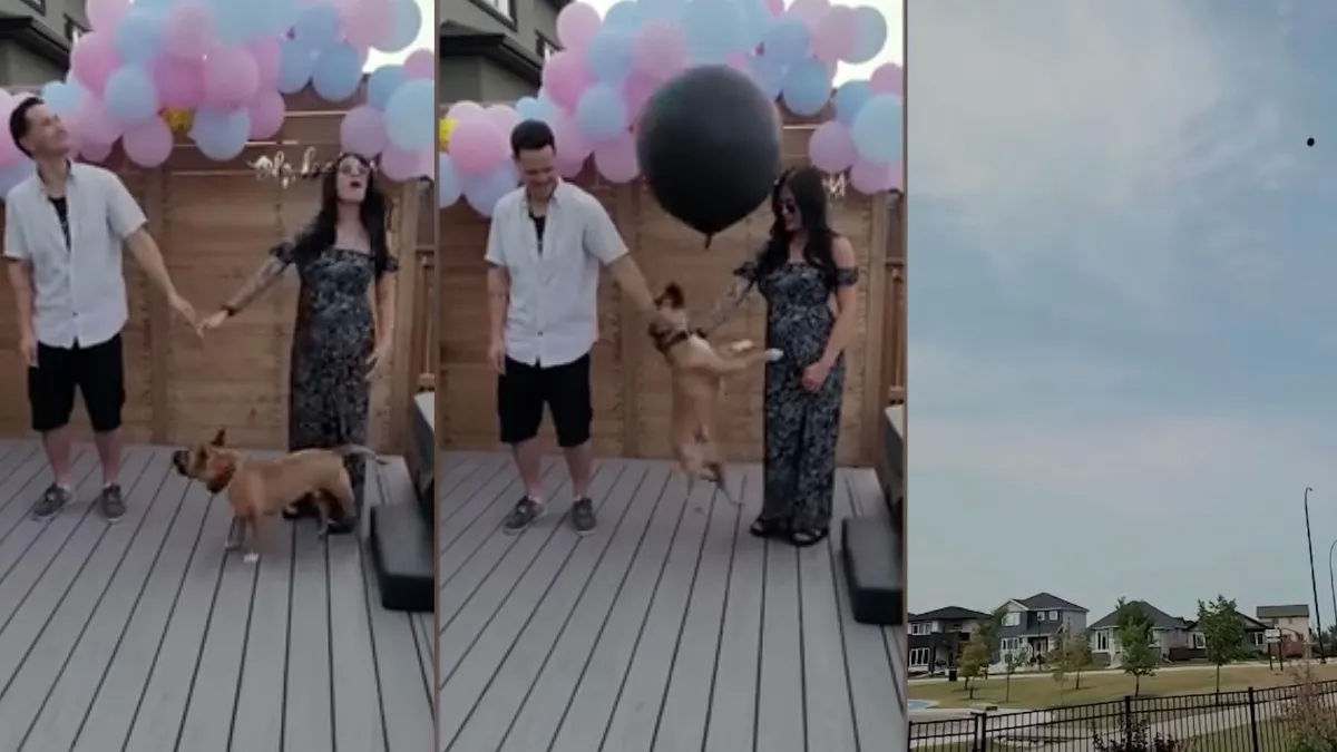 El video se volvió rápidamente viral en YouTube.