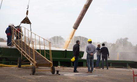 Los embarques en enero alcanzarían alrededor de 2.550.000 toneladas, lo que sería un récord para el mes. Los embarques en enero alcanzarían alrededor de 2.550.000 toneladas, lo que sería un récord para el mes.