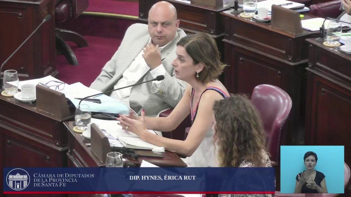 La diputada Érica Hynes fue quién tomó la palabra a la hora de defender el proyecto y cargó contra 