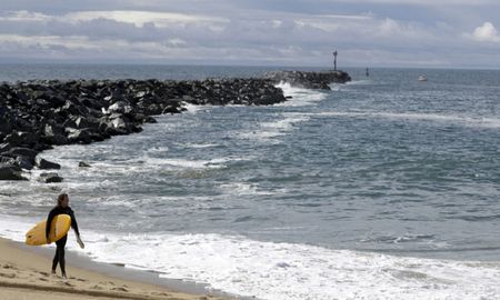 video: por que esta manada de delfines en california se ve de color fluo video: por que esta manada de delfines en california se ve de color fluo