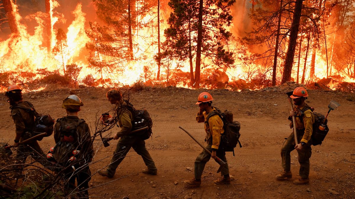 Cerca de 1.700 bomberos luchan contra un incendio que ya consumió casi 17 mil hectáreas de bosque en California