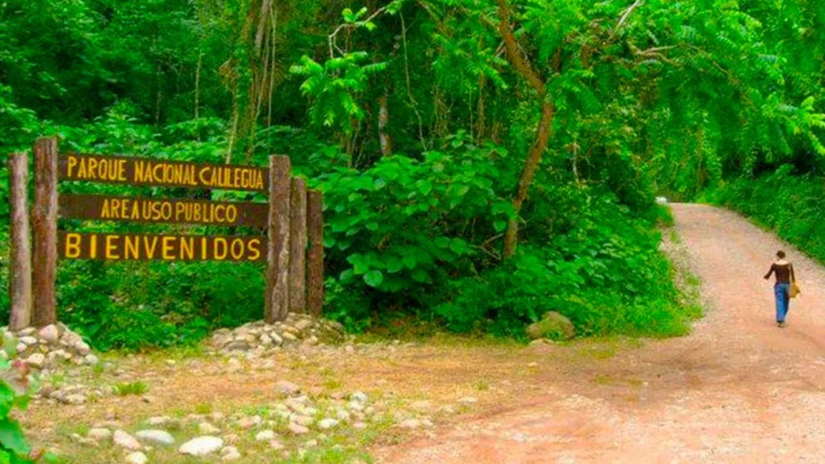 Parque Nacional Calilegua. Parque Nacional Calilegua.