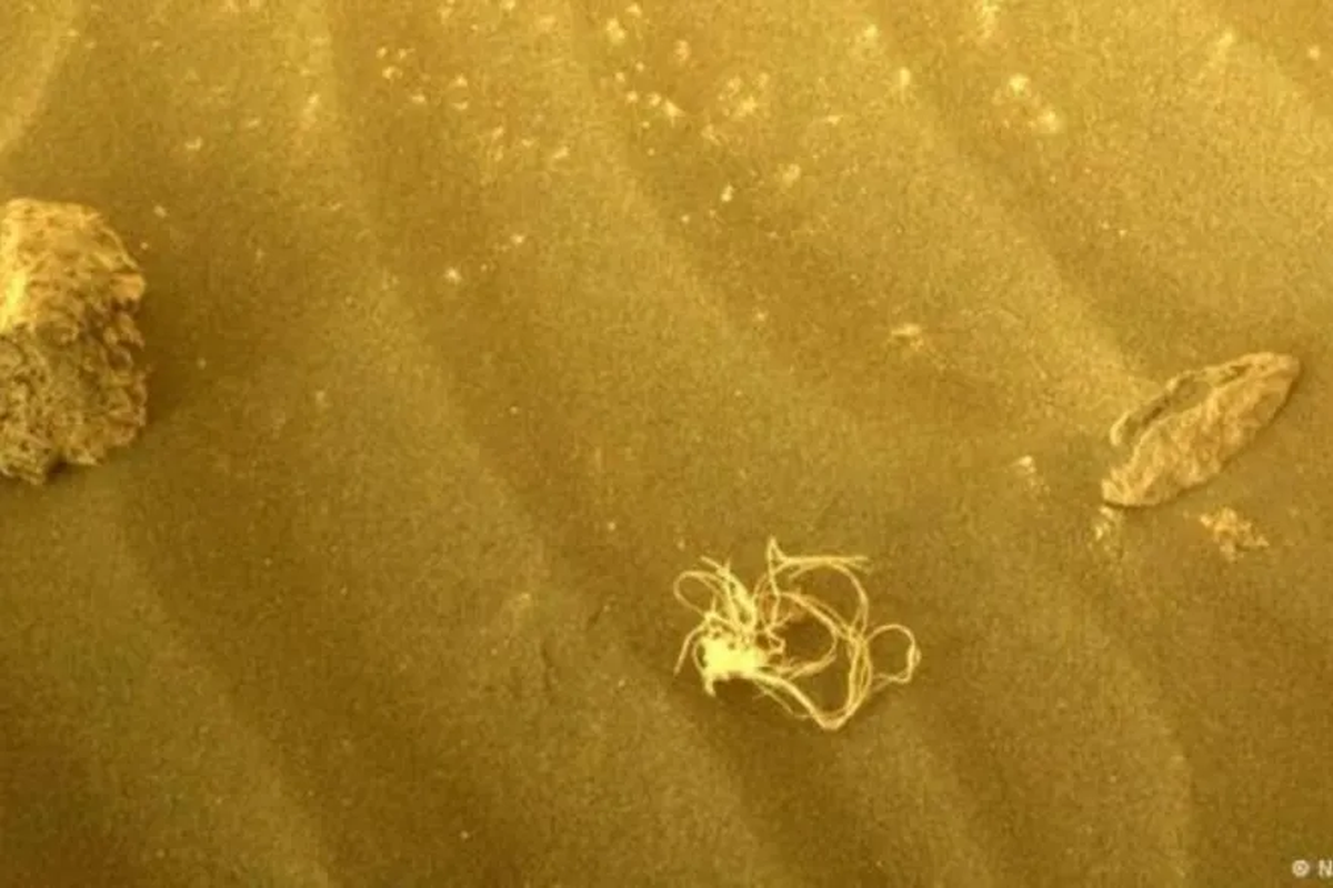 Las imágenes de los últimos hallazgos del Rover Perseverance en MarteNASA