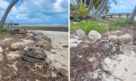 El miércoles pasado se confirmó el hallazgo de una gran cantidad de droga en una de las playas de Miami. El miércoles pasado se confirmó el hallazgo de una gran cantidad de droga en una de las playas de Miami.