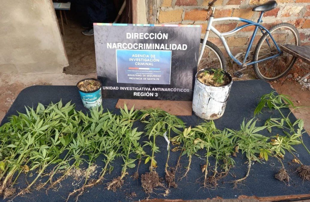 Tras los allanamientos se detuvo a seis personas: cinco varones y una mujer, además del secuestro de la marihuana.