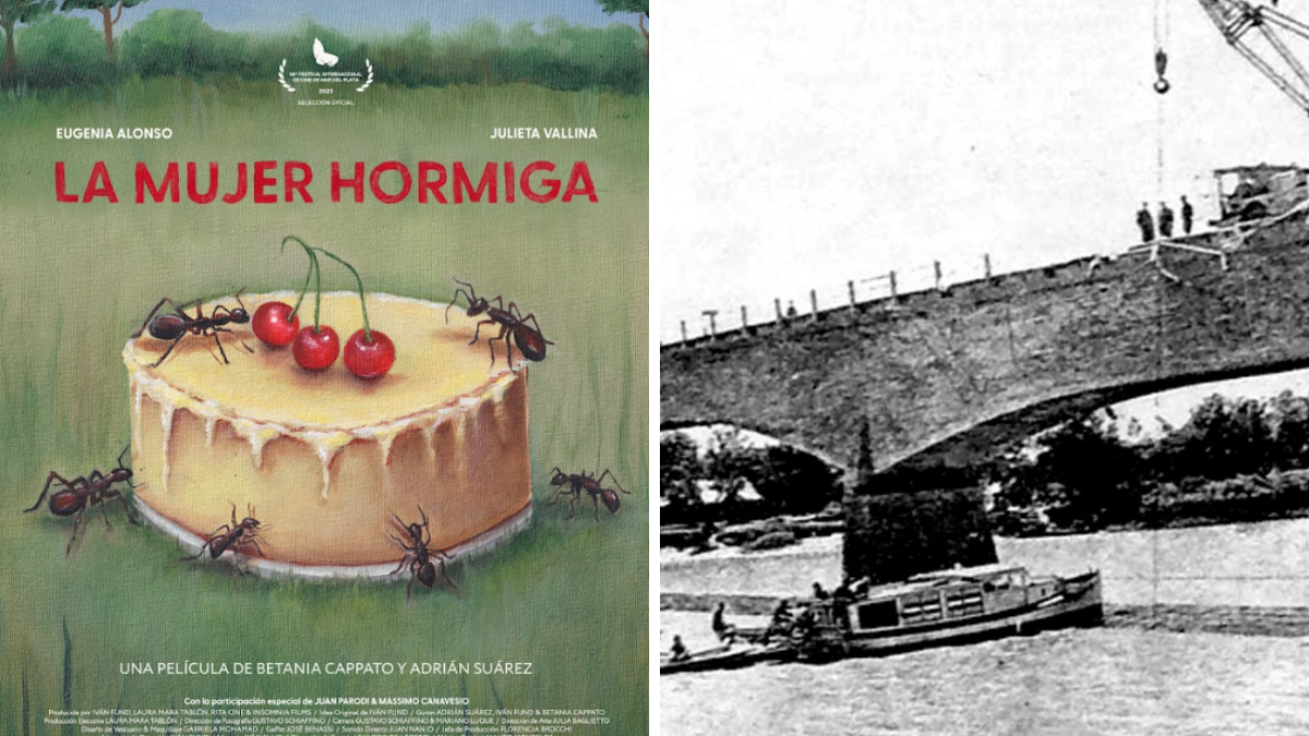 La mujer hormiga llegará a la pantalla del Cine Club Santa Fe en el año 2024 para luego empezar su recorrida por diferentes cines de Argentina.&nbsp;