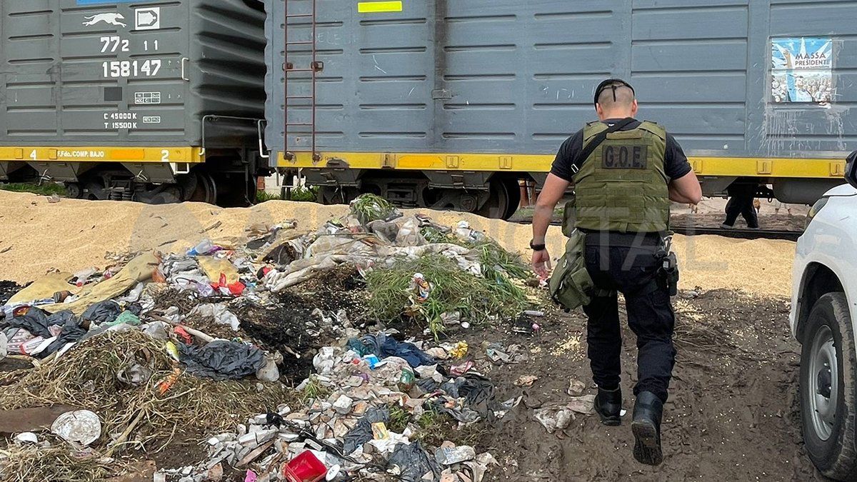 Personal del GOE custodió la zona en donde se detuvo el ferrocarril.&nbsp;