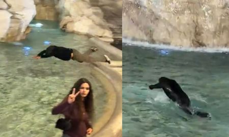 insolito video: un turista se tiro a la fontana di trevi en roma y fue multado por 500 euros insolito video: un turista se tiro a la fontana di trevi en roma y fue multado por 500 euros