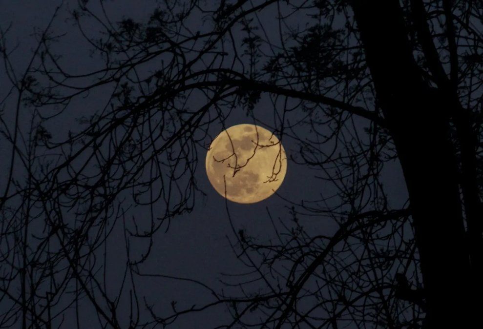 La influencia de la Luna llena en el sueño no es un mito. 