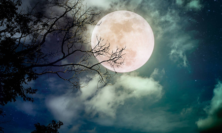 Última Luna llena de 2023: consejos para aprovechar su energía Última Luna llena de 2023: consejos para aprovechar su energía