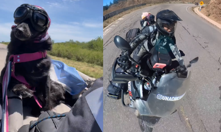 valeria y uma: una chica y su perrita emprenden un viaje en moto por america latina valeria y uma: una chica y su perrita emprenden un viaje en moto por america latina