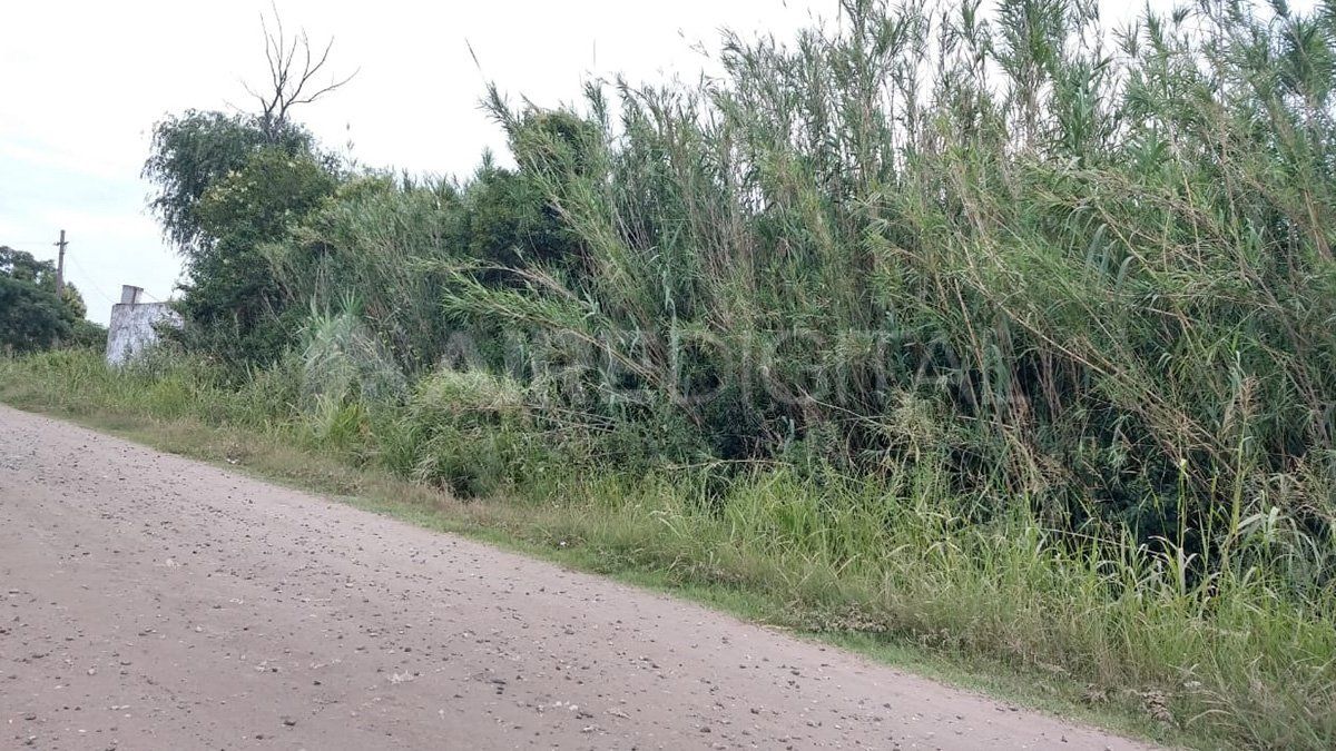 El hallazgo lo hicieron personas que estaban haciendo tareas rurales en un descampado de un cañaveral ubicado en calle Las Mandarinas. La policía y agentes de investigación comenzaron con las tareas de rigor para intentar establecer lo ocurrido.