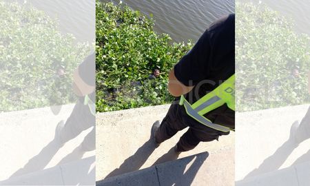 El hombre se arrojó a las aguas del río Salado este domingo por la mañana. El hombre se arrojó a las aguas del río Salado este domingo por la mañana.