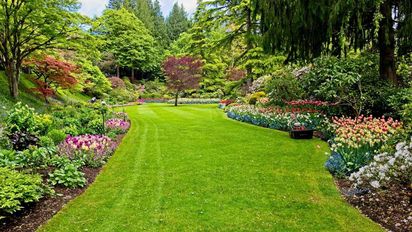 Los árboles con flores que atraen pajaritos al jardín y son perfectos para esta primavera