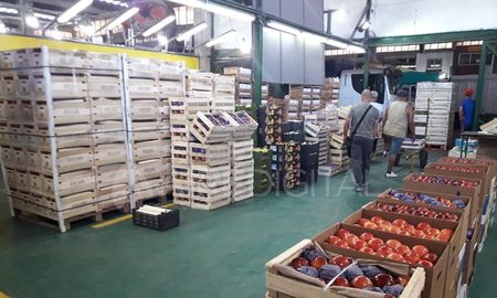 Habló Juan Carlos, asaltado en el Mercado de Abastecedores de Santa Fe Habló Juan Carlos, asaltado en el Mercado de Abastecedores de Santa Fe