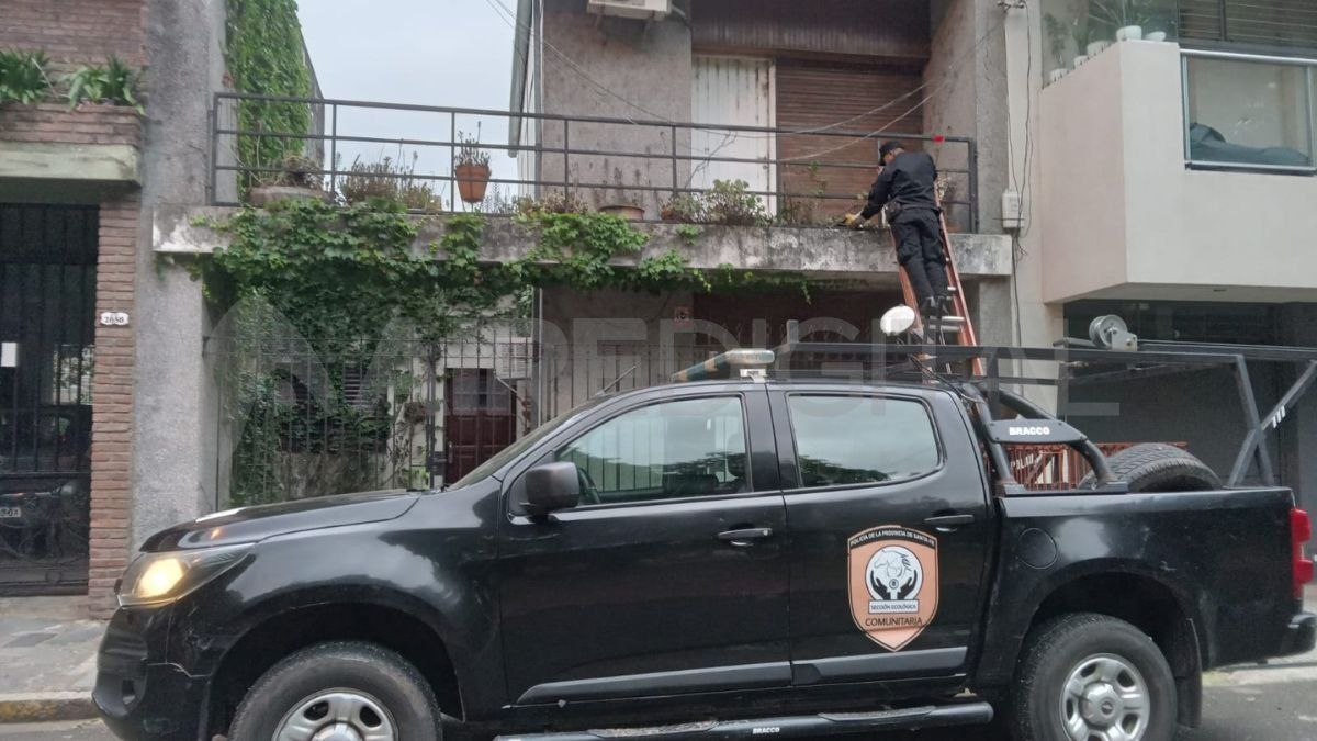 Uno de los operativos realizado por personal de la Sección Ecológica donde rescataron un gato.