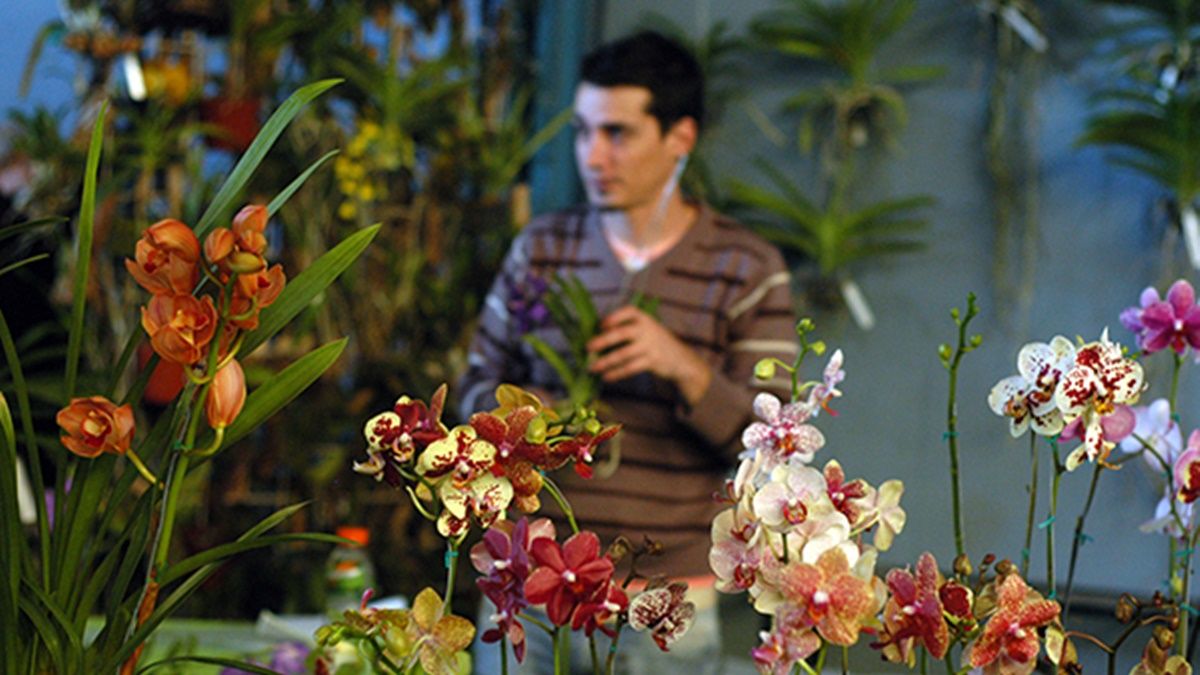 Santa Fe es sede la 11° Fiesta Provincial de Orquídeas y Bromelias