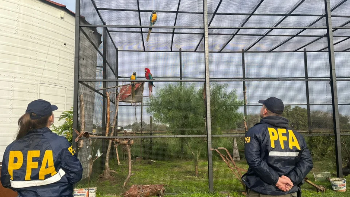 Había animales de granja