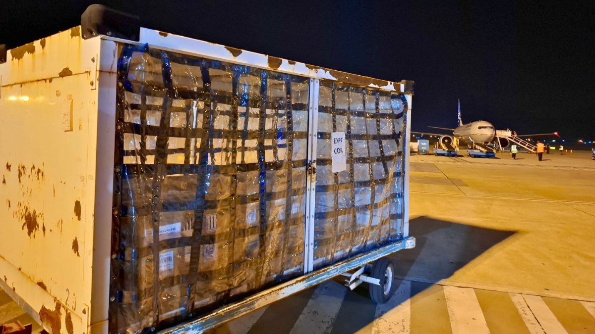 El pacú se exporta desde Chaco a Los Ángeles a través de Rosario. El pacú se exporta desde Chaco a Los Ángeles a través de Rosario.