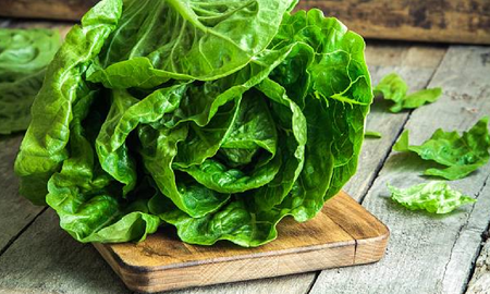 Las altas temperaturas y la sequía golpearon con fuerza la producción local de verduras de hoja, generando un aumento desmedido en los precios. Las altas temperaturas y la sequía golpearon con fuerza la producción local de verduras de hoja, generando un aumento desmedido en los precios.