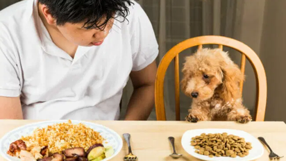 Qué significa compartir el horario de almuerzo con los perros, según la psicología
