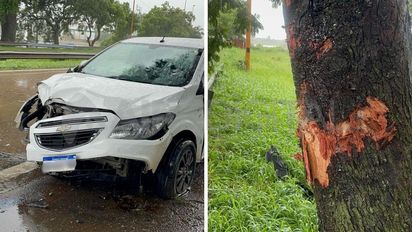 En plena lluvia, un automovilista despistó en Avenida de la Constitución, atropelló un guardarraíl y un árbol
