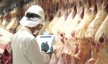 durante el 2019 el consumo de carne cayo al menor nivel de la decada durante el 2019 el consumo de carne cayo al menor nivel de la decada