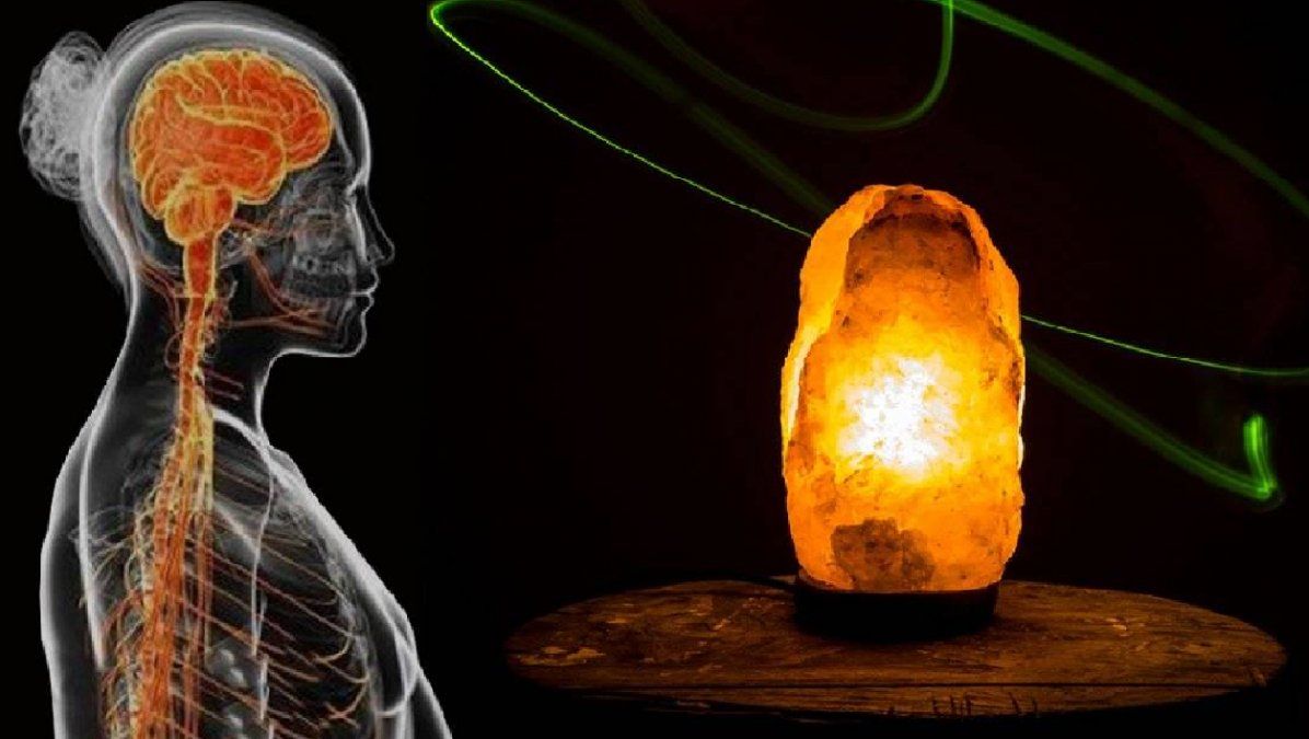 Razones científicas para colocarlas en tu casa