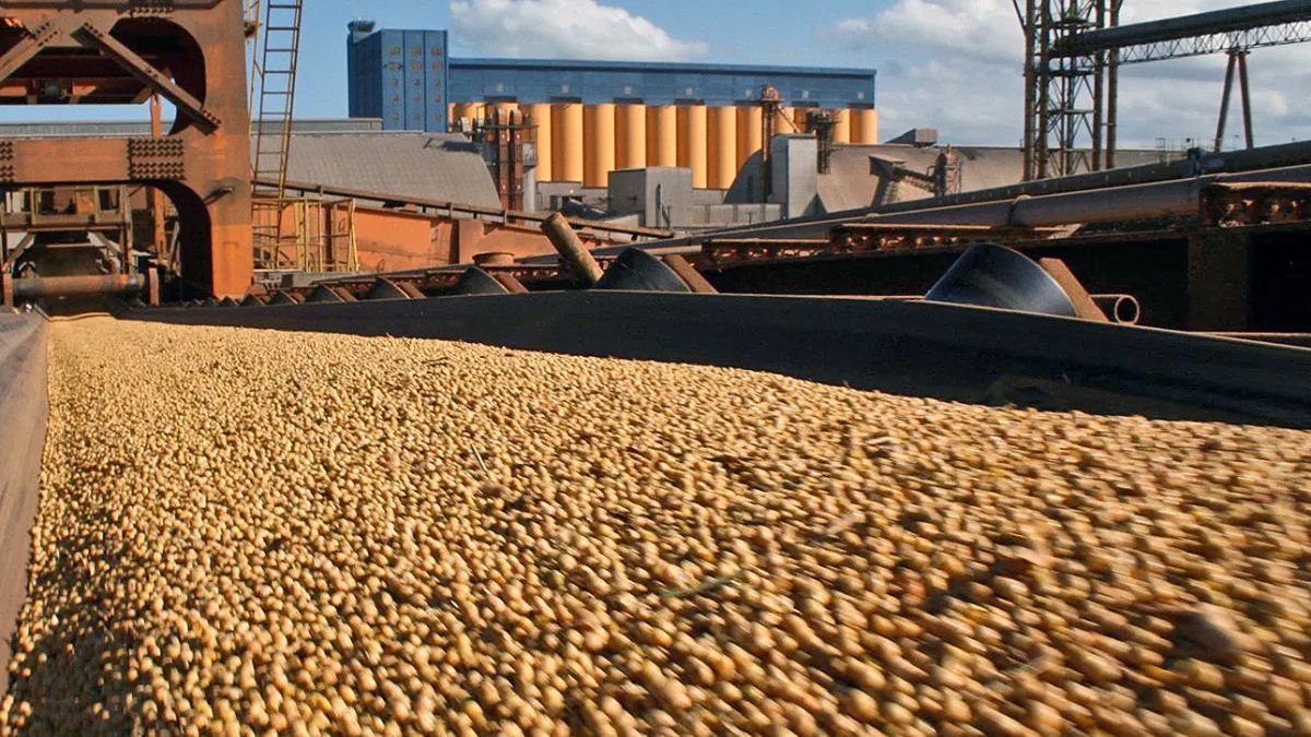 Sin unificación latinoamericana posible, todos representan el Mercado Desunido de los Comoditties. Sin unificación latinoamericana posible, todos representan el Mercado Desunido de los Comoditties.