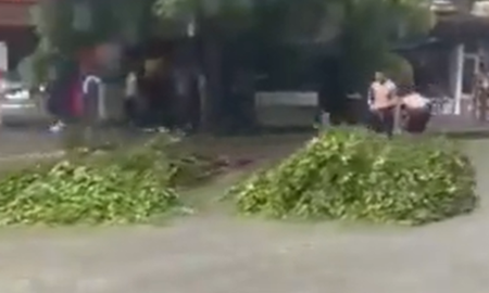 En medio del intenso temporal, usaron un árbol como medio de transporte En medio del intenso temporal, usaron un árbol como medio de transporte