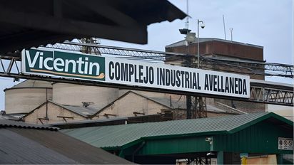 Vicentín: por qué el Grupo Grassi tendría ventaja para quedarse con la agroexportadora
