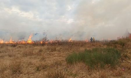 El momento del incendio de los pastizales que fue controlado por Bomberos Zapadores. El momento del incendio de los pastizales que fue controlado por Bomberos Zapadores.